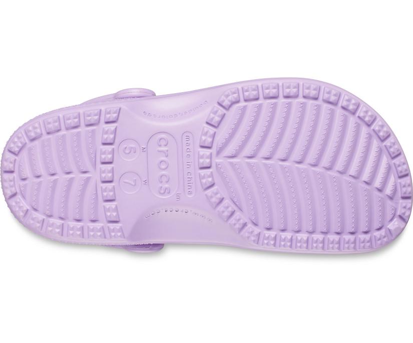 Women/Men Classic Clog Orchid | Crocs Clogs